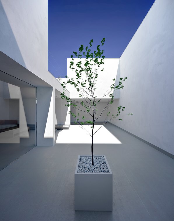 3D Visualization of a Japanese atrium in the White Cave House, delicate tree in the center, crisp white surfaces under a deep blue sky.